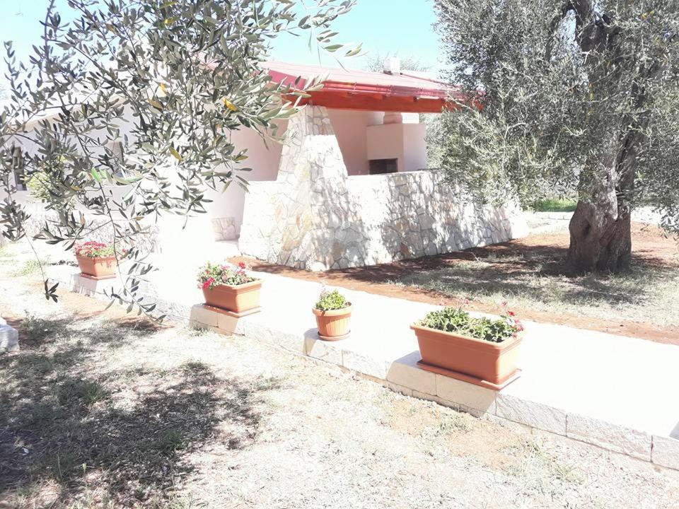 Borgo Cerasa Bed & Breakfast Vieste Exterior photo